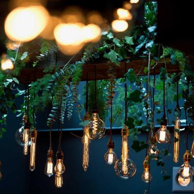 Filament light bulbs and decoration