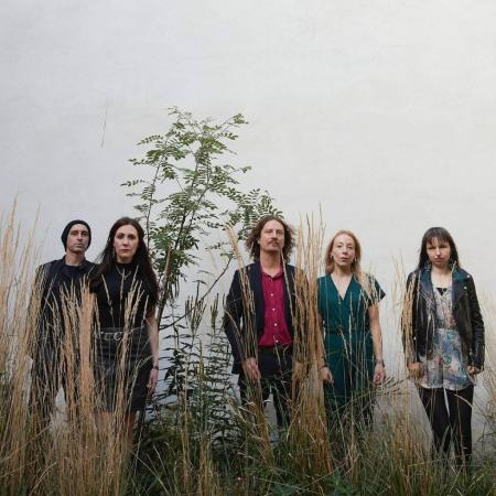 Photograph of five members of The Shining Levels in a misty field