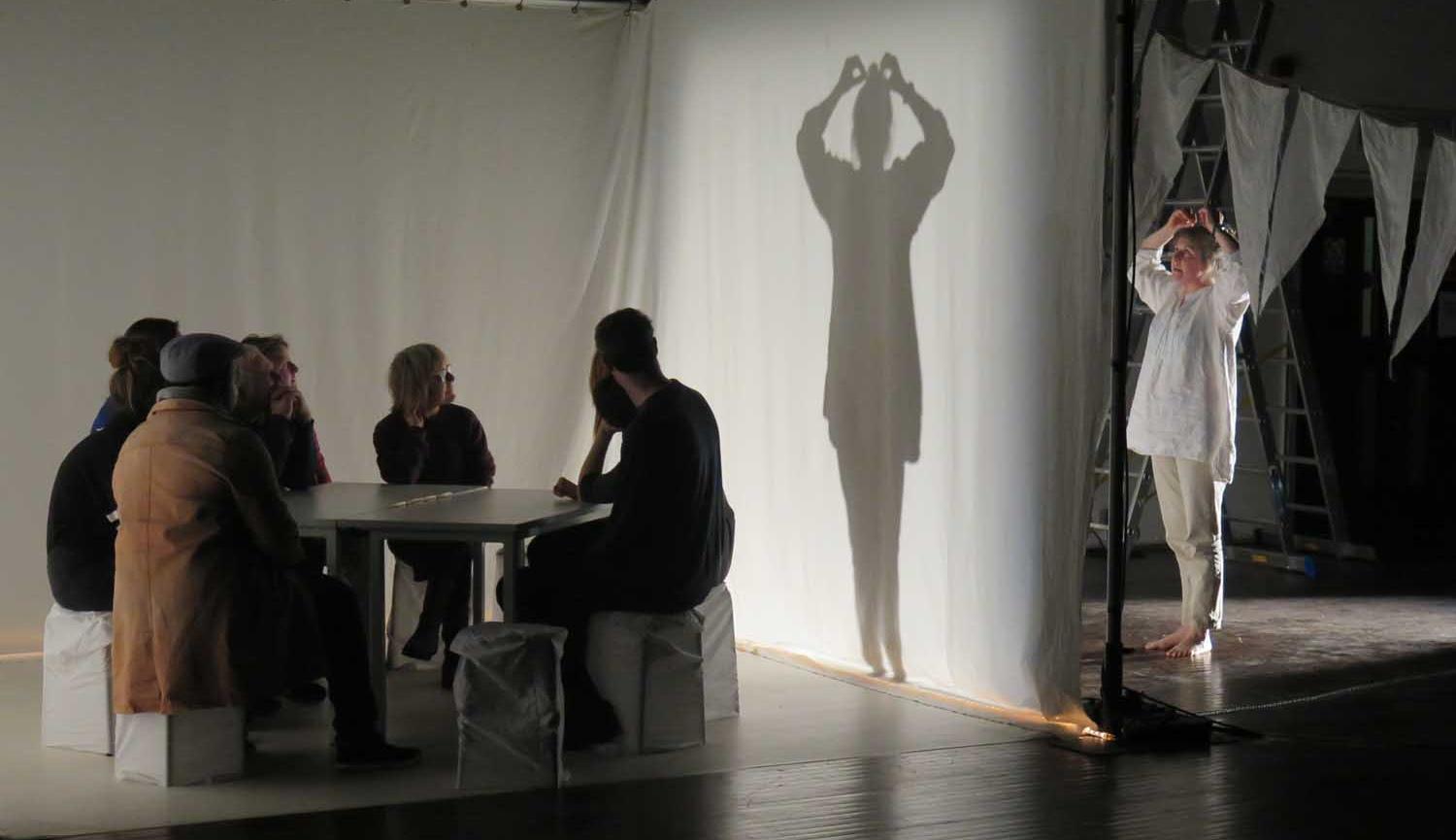 Photo of group sitting at a table with a screen to their right and a person standing behind the screen casting a shadow onto it