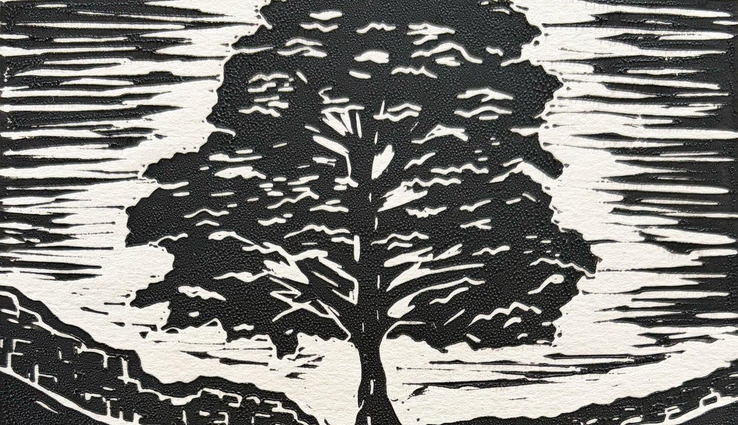 The Most Famous Tree In The World