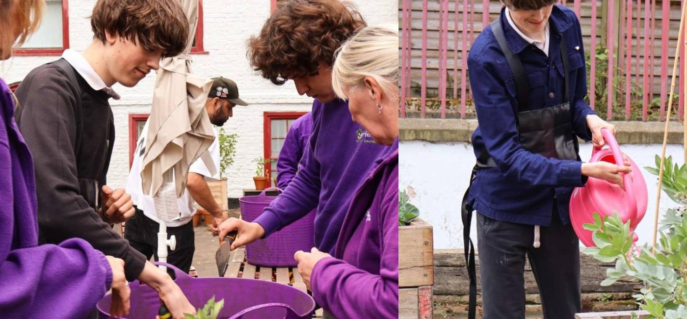Percy Hedley Gardening