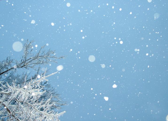 Wintry Tales 2024
