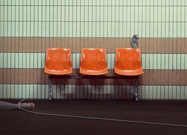 3 plastic seats in front of a tiled wall. A parrot on the seat back and a leg wrapped in rope