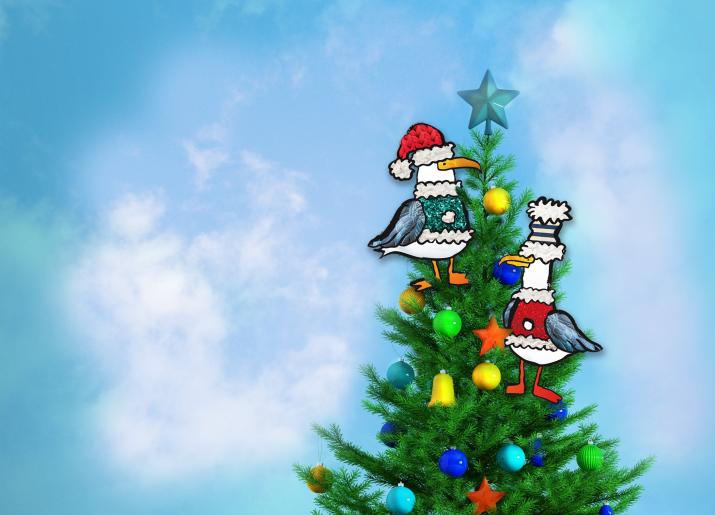 Where Do All The Kittiwakes Go At Christmas?