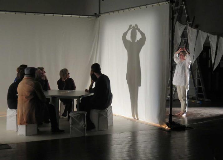Photo of group sitting at a table with a screen to their right and a person standing behind the screen casting a shadow onto it