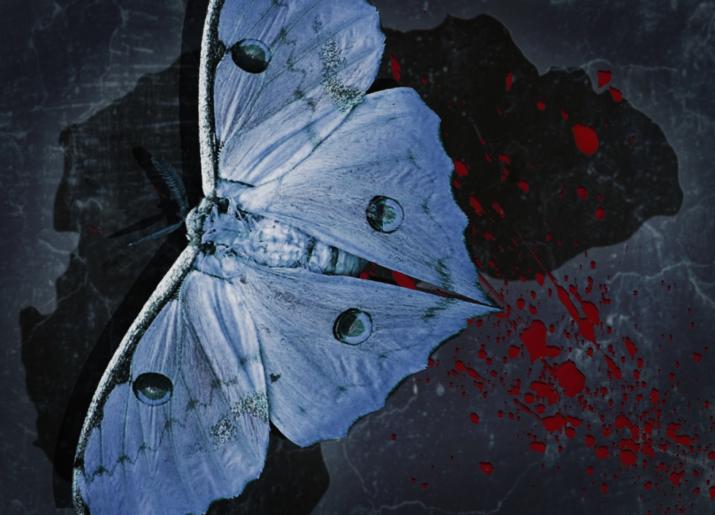 The Moth