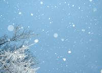 Wintry Tales 2024