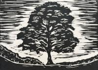 The Most Famous Tree In The World